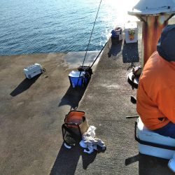 フカセ‥最高ですネ・・