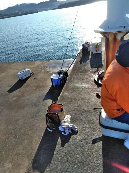 フカセ‥最高ですネ・・