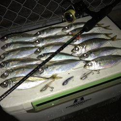 青物が終わって