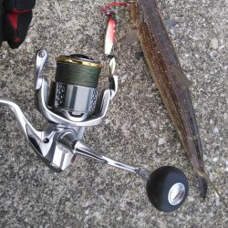 また、また、あいつが・・・・!