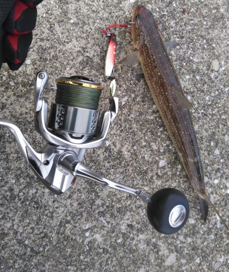 また、また、あいつが・・・・!