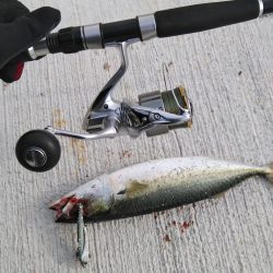 ラストスパート