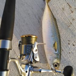 イライラを押さえて！