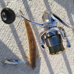 爆風の中でも、あいつが･･･！