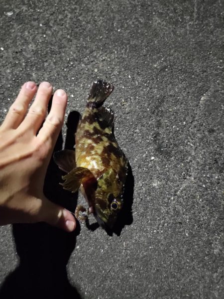 平日のちょい釣り