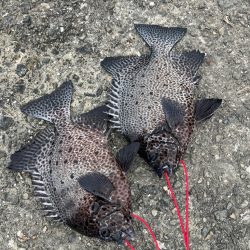 宇佐の沖堤防釣り