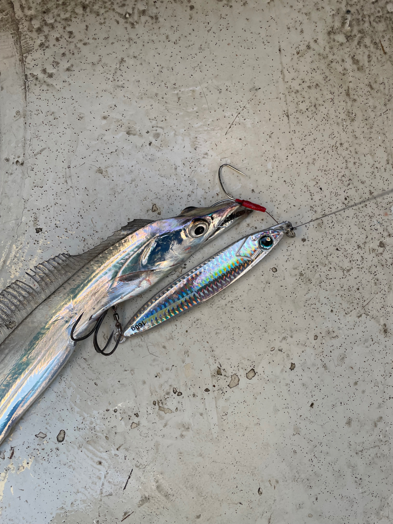 須磨沖タチウオ釣り