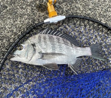 今年最後の釣り。