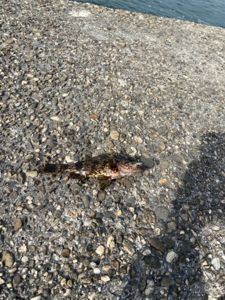 デイメバリング