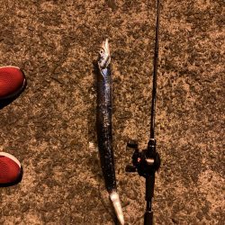 ベイトタックル練習中