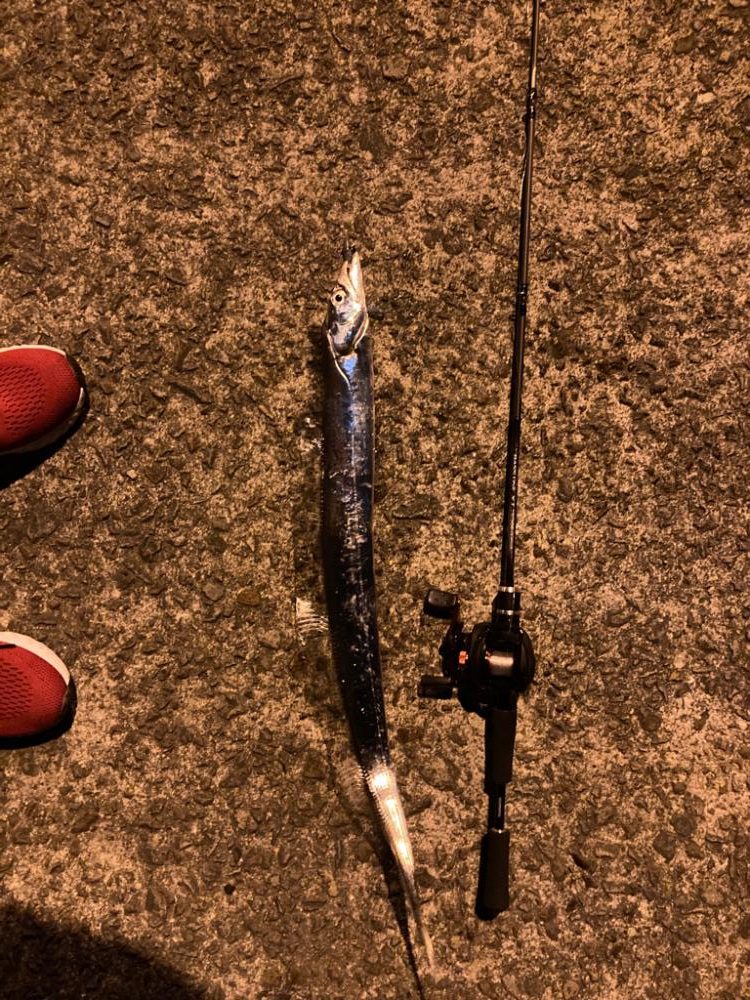 ベイトタックル練習中