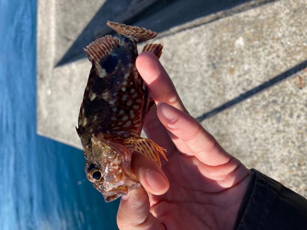 小物釣り