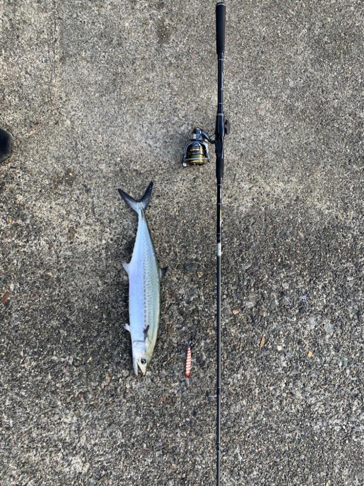 もう逃さないッ！