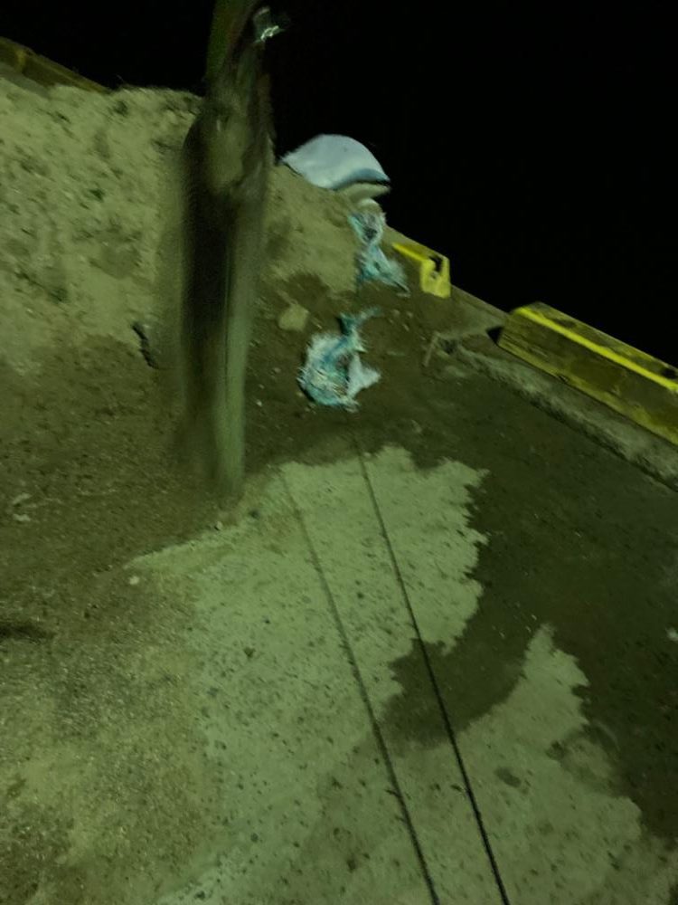 シーバス釣れずにまたタチウオ