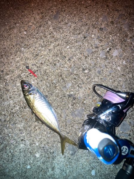 インチキアジング