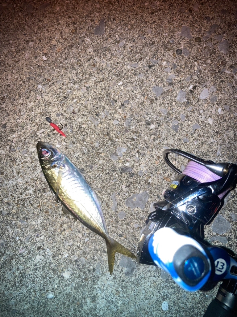 インチキアジング