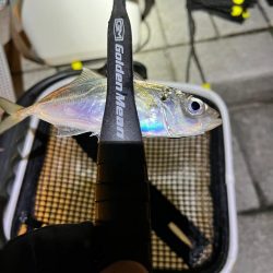 爆風にも負けず。。。