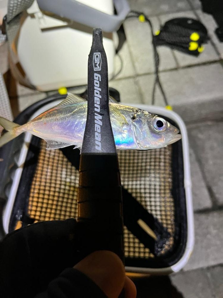 爆風にも負けず。。。