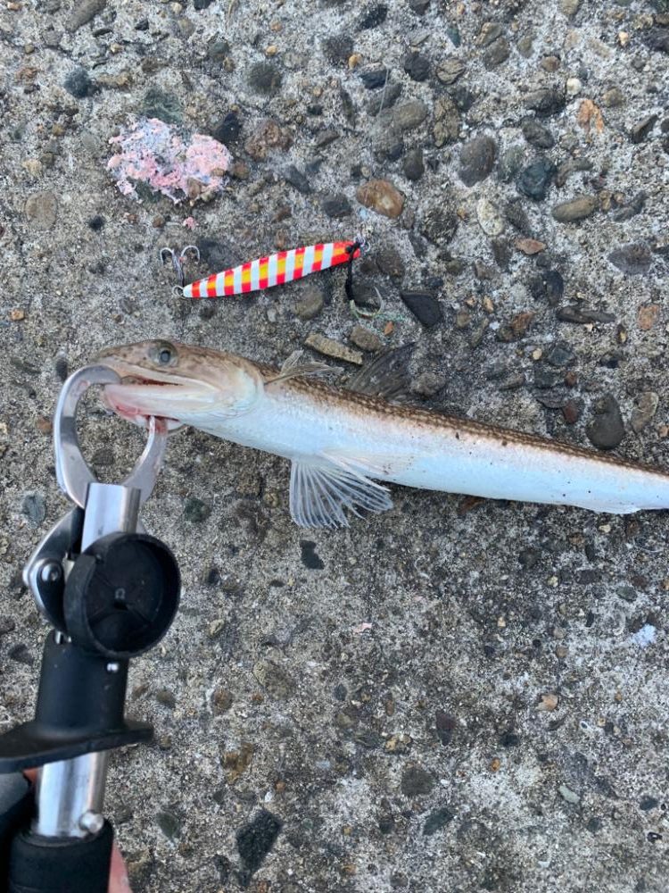 極限爆風漢気エソ