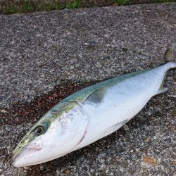 期待とは裏腹に…