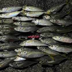 普段使わないカラー