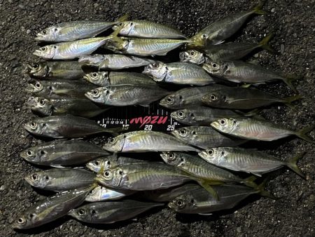 普段使わないカラー