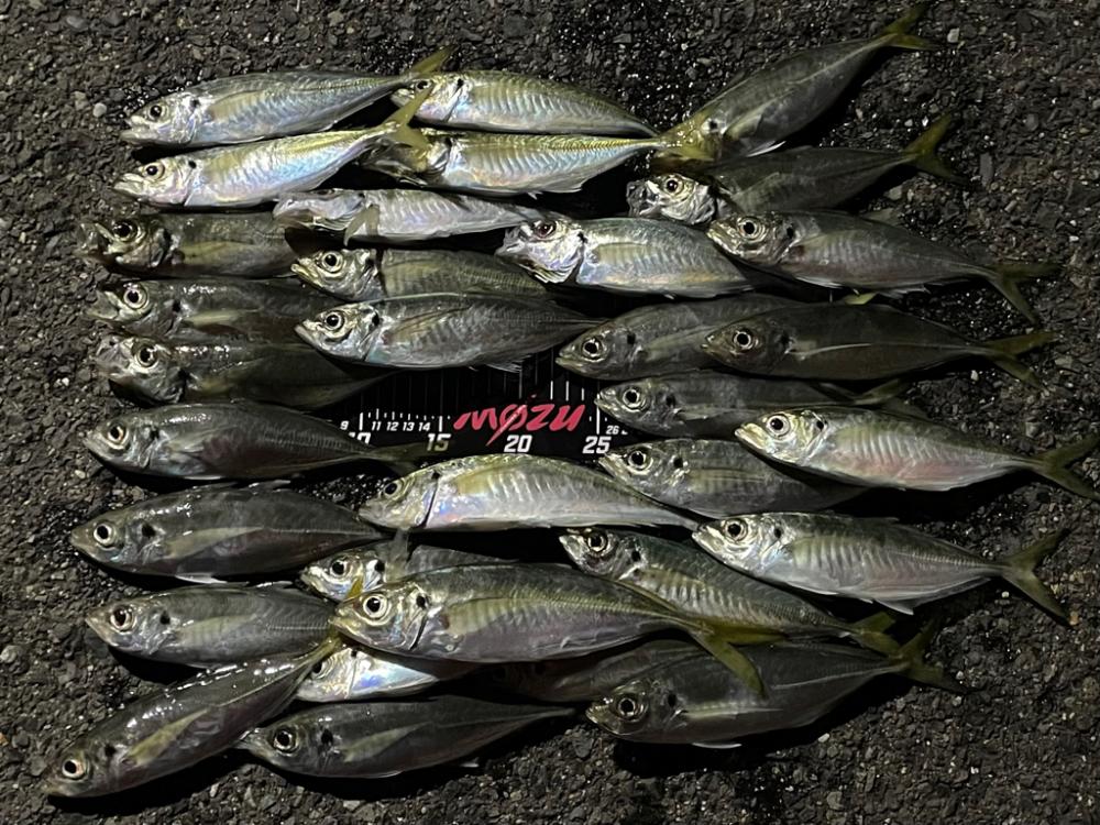 普段使わないカラー