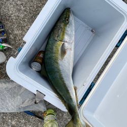 家から5分でメジロ