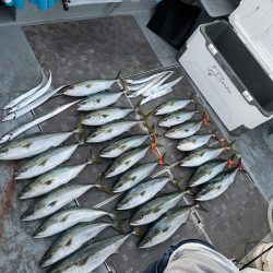 まだまだタチパターン