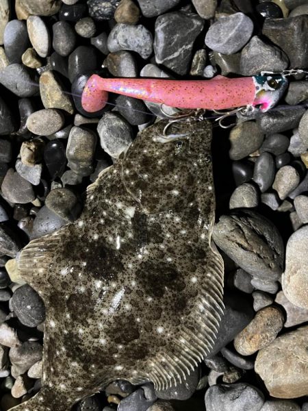 フリフリシャッドの真骨頂はやっぱりコレ