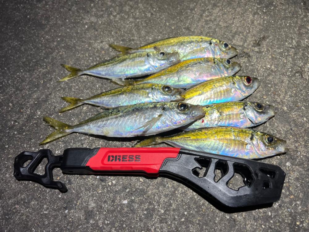 鯵を探して三千里Ver.8 小島漁港