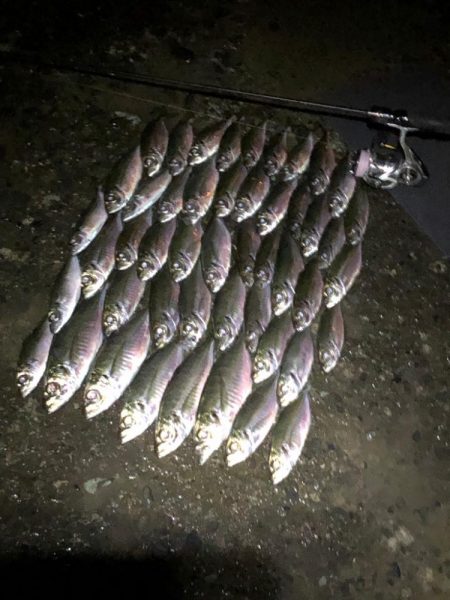 爆風の中でも宵姫爽なら何とかなる！