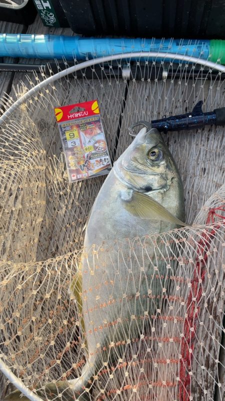 朝イチは超高活性！