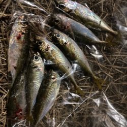 ミニにはミニで