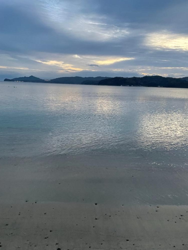 ボウズ逃れのサゴシ