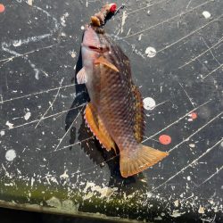 短時間ライトゲーム