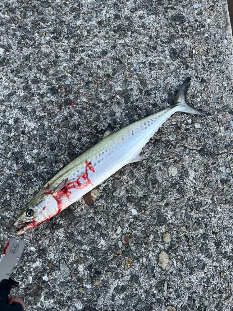 ラストスパート?