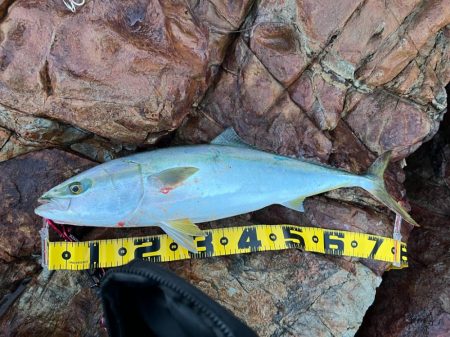 外泊泊まり込みメジロ水面爆発Ὂ…