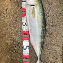 メジロ!2022ライトゲーム第46戦