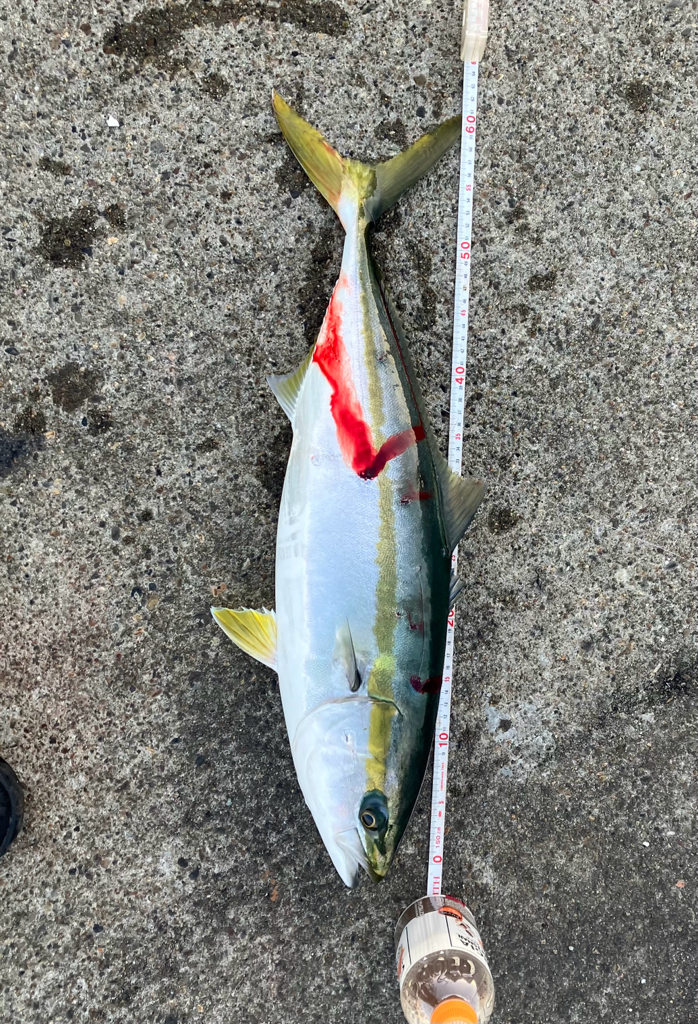 大阪都市部リバーブルー