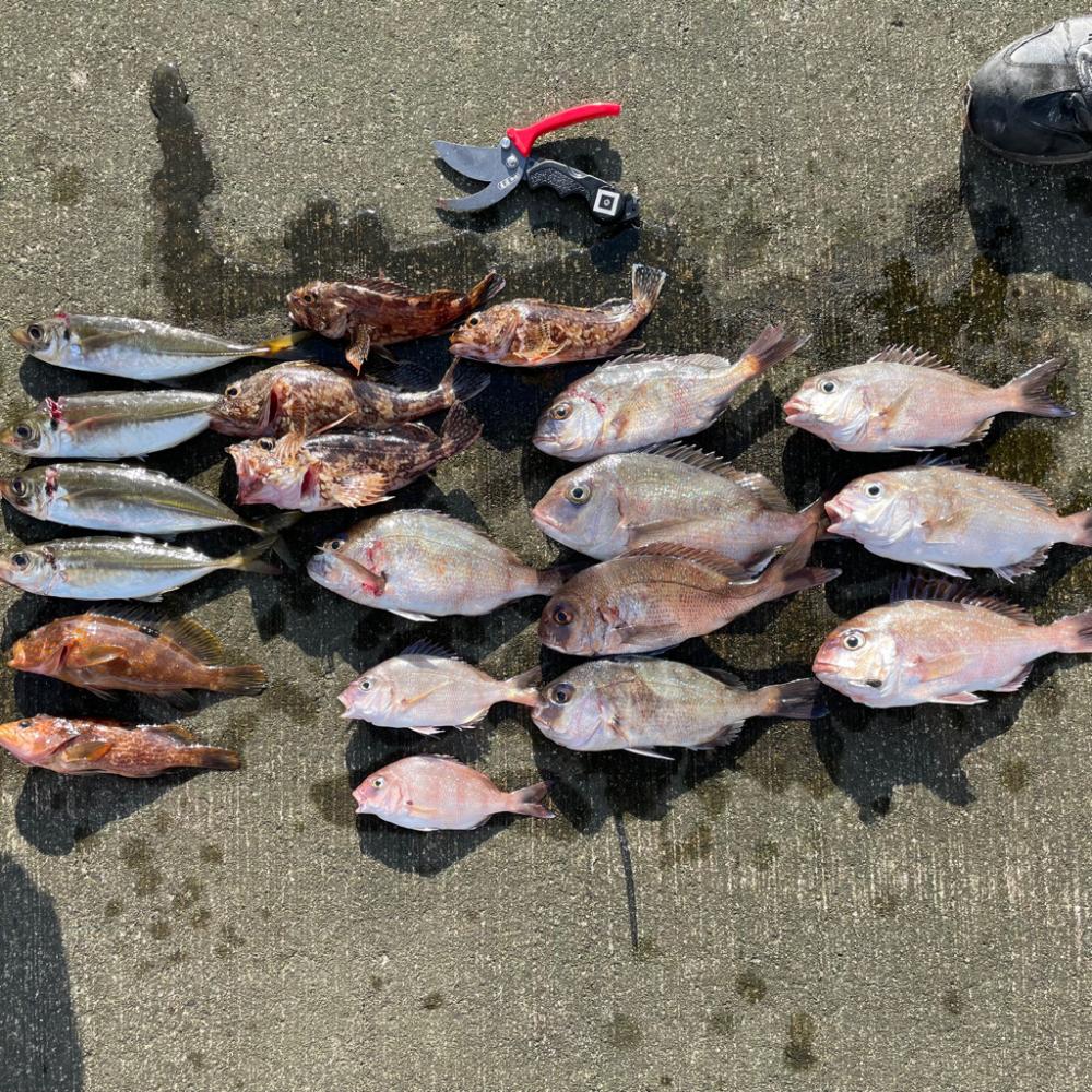 ライトタックルゲーム