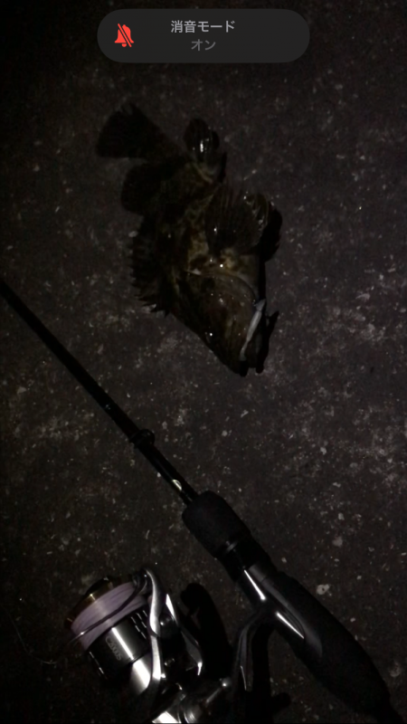 初福山港ライトゲーム！