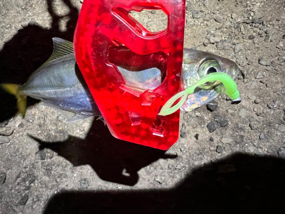 鯵を探して三千里Vel.14