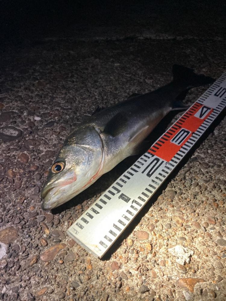 型は上がらない