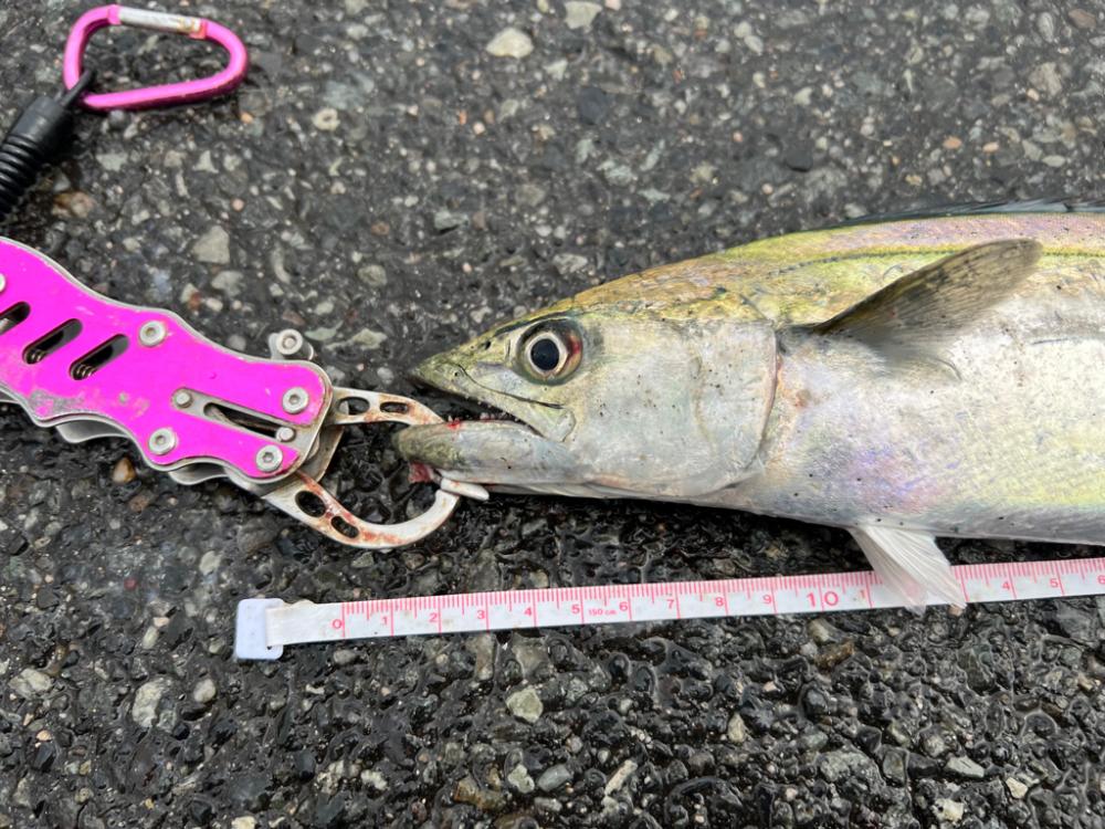 初の日本海デビュー!