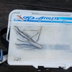 ホワイトクリスマス