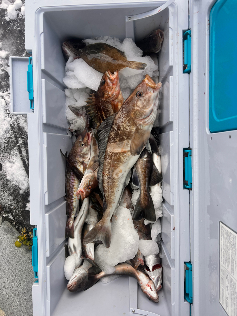 オフショアジギング