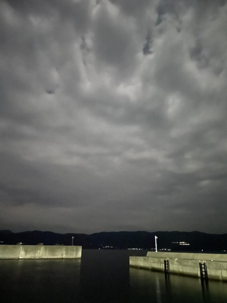 敦賀半島でアジ爆釣