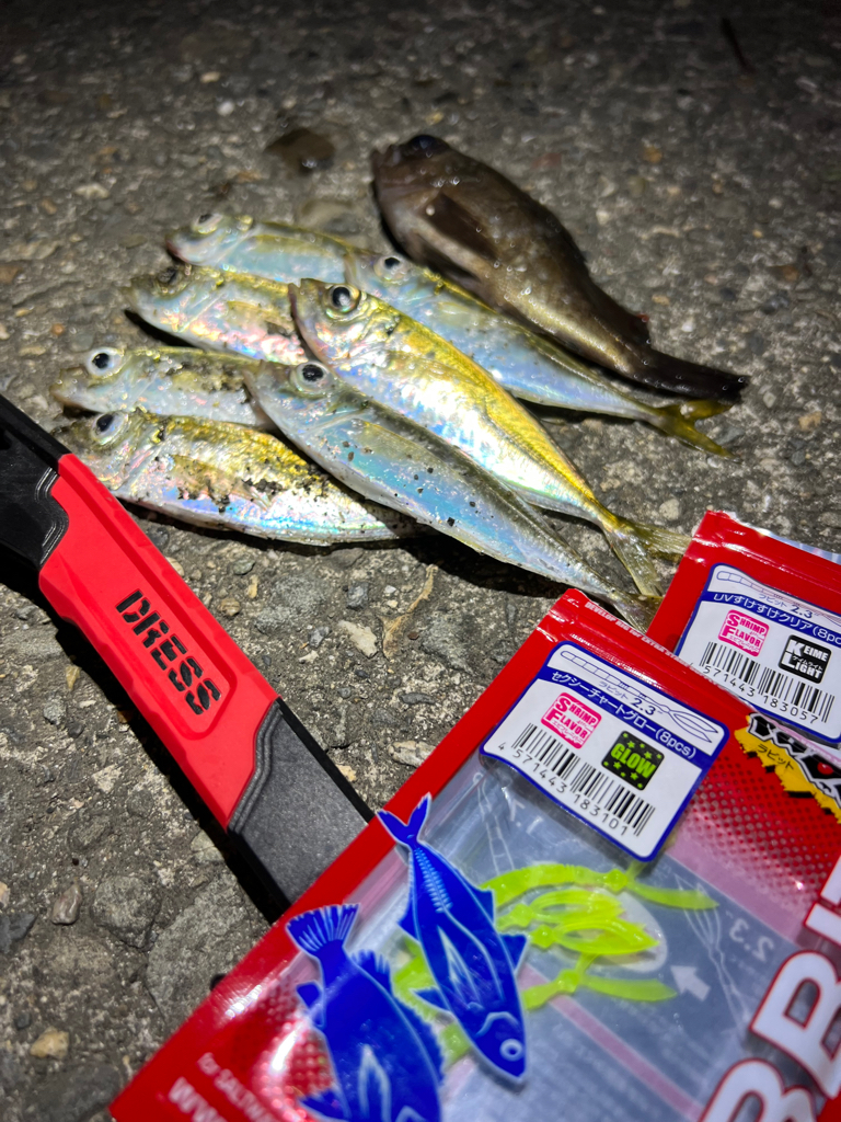 鯵を探して三千里Ver.7 加太港