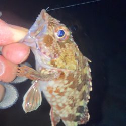 2022ライトゲーム最終戦（第48戦）